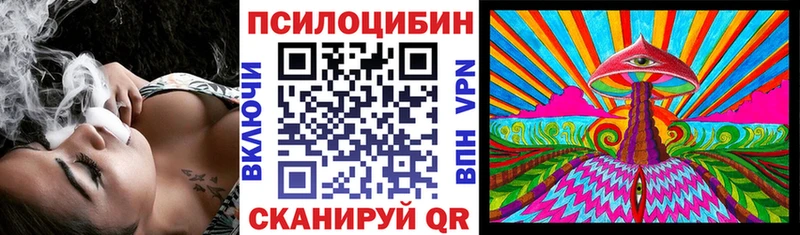 kraken   Бирск  Псилоцибиновые грибы Psilocybe 