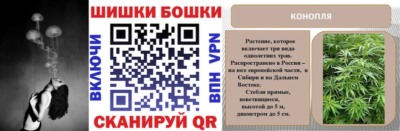 купить закладку  Бирск  Канабис сатива 